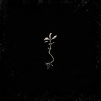 Wardruna - Gap Var Ginnunga